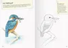 Il mio grande libro da colorare sulla natura Anteprima dell’immagine prodotto 4