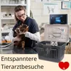 A veterinarian holding a cat, with a small kitten in a carrier in the foreground. The scene is set in a veterinary clinic. Produktbild-Vorschau