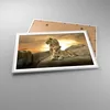 Gerahmtes Poster - Weißer Rahmen - Löwen Sonnenuntergang Produktbild-Vorschau 3