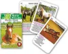Piatnik 4211 - Quartett Tier und Natur - Pferde Produktbild-Vorschau 1