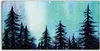 Coloray Acrylbild 120x60  Wandbild Acrylbilder Landschafts Produktbild-Vorschau 1