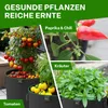 TTL Garden 5x 22L Pflanzsack aus Vliesstoff – Filz Produktbild-Vorschau 6