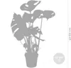 Bloomique - Monstera Deliciosa - Roślina serowa - Rośliny Podgląd zdjęcia produktu 5