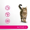 Perfect Fit Active 1+ mit Rind 6x750g Trockenfutter für Produktbild-Vorschau 3