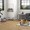 Verriegelbare Transportbox für kleine und mittelgroße Hunde Produktbild-Vorschau 8