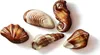 MaitreTruffout Meeresfrüchte-Pralinen 250 g Produktbild-Vorschau 3