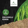 LERAVA TURBO 10m² Rasensamen schnellkeimend - für kühle Produktbild-Vorschau 2
