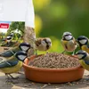PANTO Hanfsamen 1kg - Natürliche Energiequelle für Produktbild-Vorschau 3