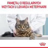 Royal Canin Oral Care, Dorosły, 3,5 kg Podgląd zdjęcia produktu 10