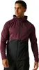 Assimilatevmlyr fig/black (J8R) L Produktbild-Vorschau 1