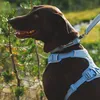 Ruffwear Hundegeschirr Front Range® Flex Harness Polar Produktbild-Vorschau 4