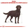 Royal Canin Labrador Retriever Sterilised, Dorosły, Podgląd zdjęcia produktu 4
