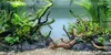 Aquarium Steine Lava Vulkangestein Schwarz 15 kg, Produktbild-Vorschau 5