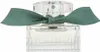 Chloé Rose Naturelle Intense Eau de Parfum per donna 30 ml Anteprima dell’immagine prodotto 12