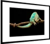 MuchoWow® MuchoWow® Gerahmtes Poster Chamäleon - Zweig - Produktbild-Vorschau 7
