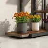 A shelf with potted plants, including orange and yellow flowers, on a marble-like surface. Náhled obrázku produktu