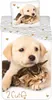 Golden Retriever - Hund & Katze - Wende-Bettwäsche-Set, Produktbild-Vorschau 1