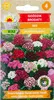 Bartnelken Mix 1G Blumensamen Mehrfarbige Nelken Produktbild-Vorschau 2
