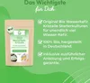 Wasserkefir Kristalle – Japankristalle 30g Produktbild-Vorschau 4