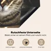 KitchenYeah© Herdabdeckplatte Katze - Kissen - Licht , Produktbild-Vorschau 5