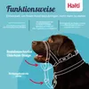 Halti Kopfgeschirr für Hunde | Größe 3, Schwarz Produktbild-Vorschau 2