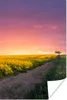 MuchoWow® Poster Blumen - Straße - Himmel - Gelb - Lila - Produktbild-Vorschau 1