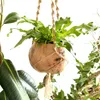 BioCoco Pot Vaso in cocco per orchidee epifite Anteprima dell’immagine prodotto 5