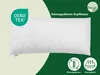 Premium Steppkissen 40x80 cm | DREAMSTAR Mikrofaser Produktbild-Vorschau 2