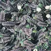 6 x Fiederpolster  - Leptinella squalida 'Platt's Black'  | Produktbild-Vorschau 1