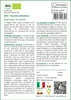 SAFLAX  -- Rucola selvatica - 1500 semi - Diplotaxis Anteprima dell’immagine prodotto 3