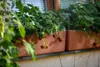 Berberis Blumenkasten Pflanzkasten mit Bewässerungssystem Produktbild-Vorschau 25