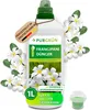 Purgrün Frangipani-Dünger 1 Liter, Produktbild-Vorschau 1