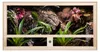 Repiterra® Terrarium Seitenbelüftung Holzterrarium OSB Holz Produktbild-Vorschau 2