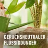 COMPO  GRANUPLANT Pflanzendünger - 100% pflanzliche Produktbild-Vorschau 7