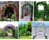 Pergola ogrodowa Podgląd zdjęcia produktu 10