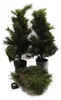Black Box Trees Glendon Set de 2 sapins de Noël et 1 Voir les images du produit 10