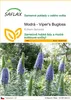 SAFLAX - Modrá - Viper's Bugloss - Echium fastuosa - 100 Náhled obrázku produktu 1