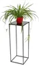 A spider plant in a red pot sits on a black metal plant stand. Náhled obrázku produktu