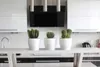 Three potted cacti are displayed on a speckled countertop in a modern kitchen. Produktbild-Vorschau