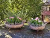 Shabby Chic Dekoschale Mireille Shabby Dekoschale Mireille Produktbild-Vorschau 6