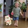 Lolex | Gattino interattivo al guinzaglio - 23 cm - Anteprima dell’immagine prodotto 9