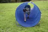dobar Agility Tunnel 500 cm lang, zusammenfaltbarer Tunnel Produktbild-Vorschau 8