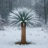Palmlilie Yucca Rostrata - 55cm Topf - ca. 150-170 cm hoch Produktbild-Vorschau 3