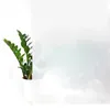 A potted plant is placed next to a frosted glass panel. Produktbild-Vorschau