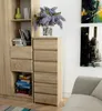 raumhirsch: Comodino da 40 cm con 6 cassetti. Armadio alto. Anteprima dell’immagine prodotto 2