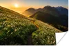 MuchoWow® Poster Blumen - Sonne - Berge 180x120 cm - Produktbild-Vorschau 1