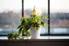 KOTARBAU® Bloempot, sierpot, diameter 16 cm, klassiek, wit, Productafbeelding-voorbeeld 4