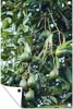 MuchoWow® Produktbild-Vorschau 1