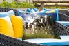 MuchoWow® Outdoor Kissen - Kühe - Gras - Wiese - Tiere - Produktbild-Vorschau 4