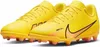 Chaussures Nike Jr Vapor 15 Club Fg mg DJ5958780 Voir les images du produit 2